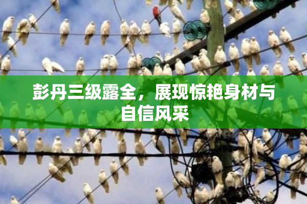 彭丹三级露全，展现惊艳身材与自信风采