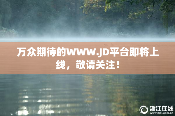 万众期待的WWW.JD平台即将上线，敬请关注！