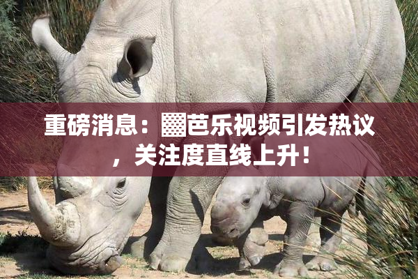 重磅消息：▓芭乐视频引发热议，关注度直线上升！