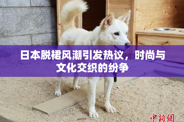 日本脱裙风潮引发热议，时尚与文化交织的纷争