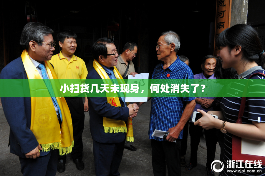 小扫货几天未现身，何处消失了？