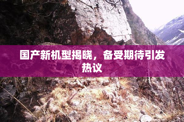 国产新机型揭晓，备受期待引发热议