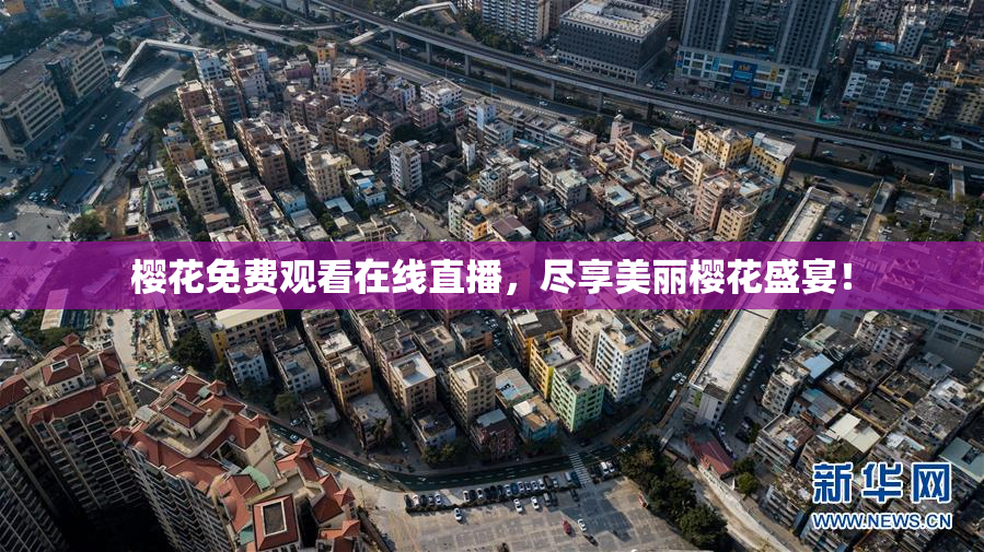 樱花免费观看在线直播，尽享美丽樱花盛宴！