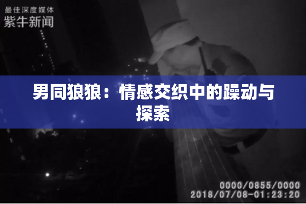 男同狼狼：情感交织中的躁动与探索