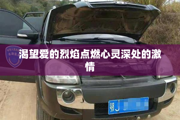 渴望爱的烈焰点燃心灵深处的激情