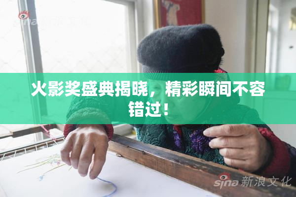 火影奖盛典揭晓，精彩瞬间不容错过！