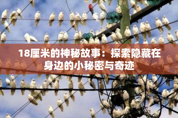 18厘米的神秘故事：探索隐藏在身边的小秘密与奇迹