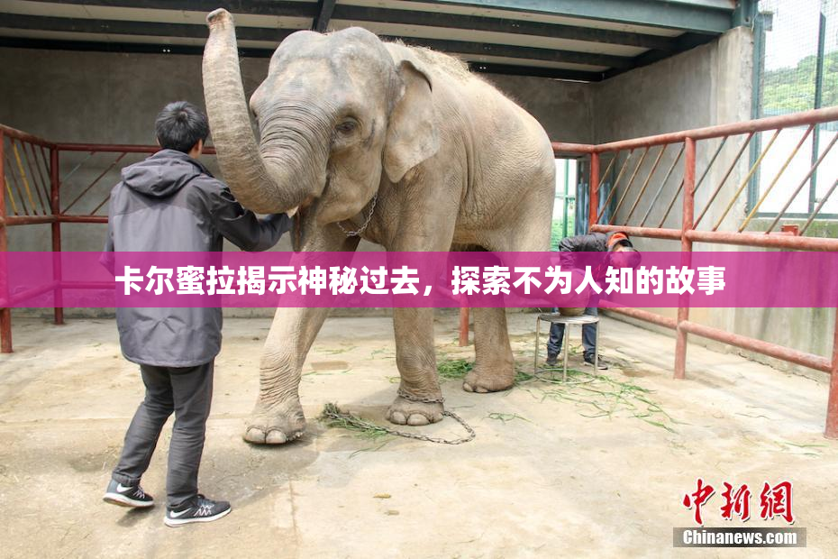 卡尔蜜拉揭示神秘过去，探索不为人知的故事