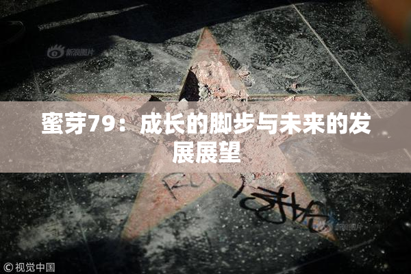 蜜芽79：成长的脚步与未来的发展展望