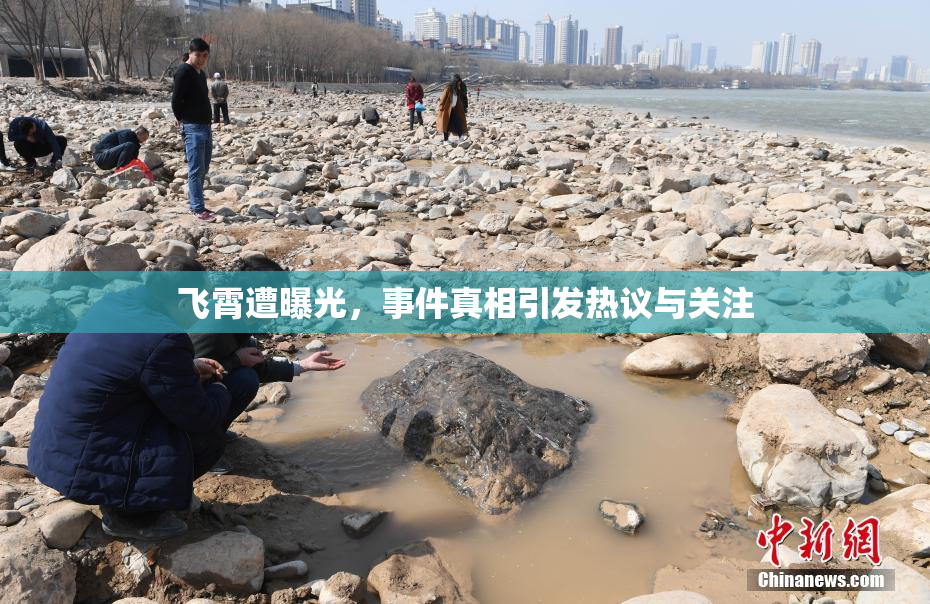 飞霄遭曝光，事件真相引发热议与关注