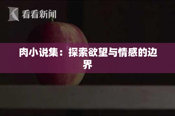 肉小说集：探索欲望与情感的边界