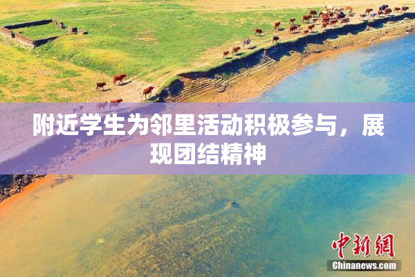 附近学生为邻里活动积极参与，展现团结精神