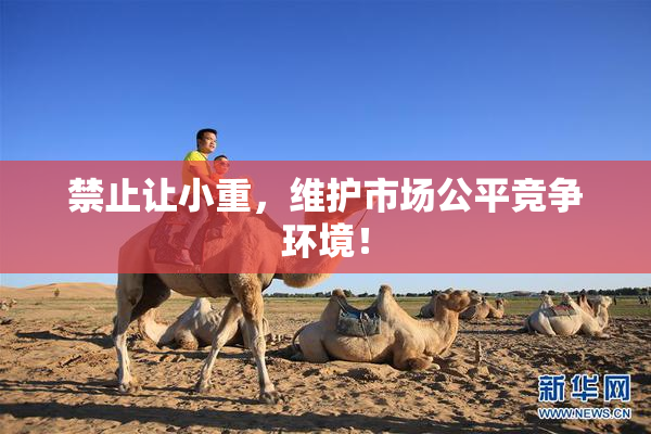 禁止让小重，维护市场公平竞争环境！