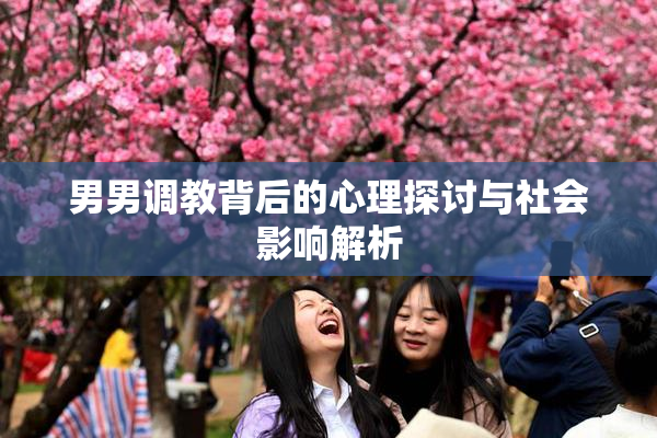 男男调教背后的心理探讨与社会影响解析