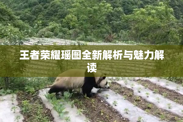 王者荣耀瑶图全新解析与魅力解读