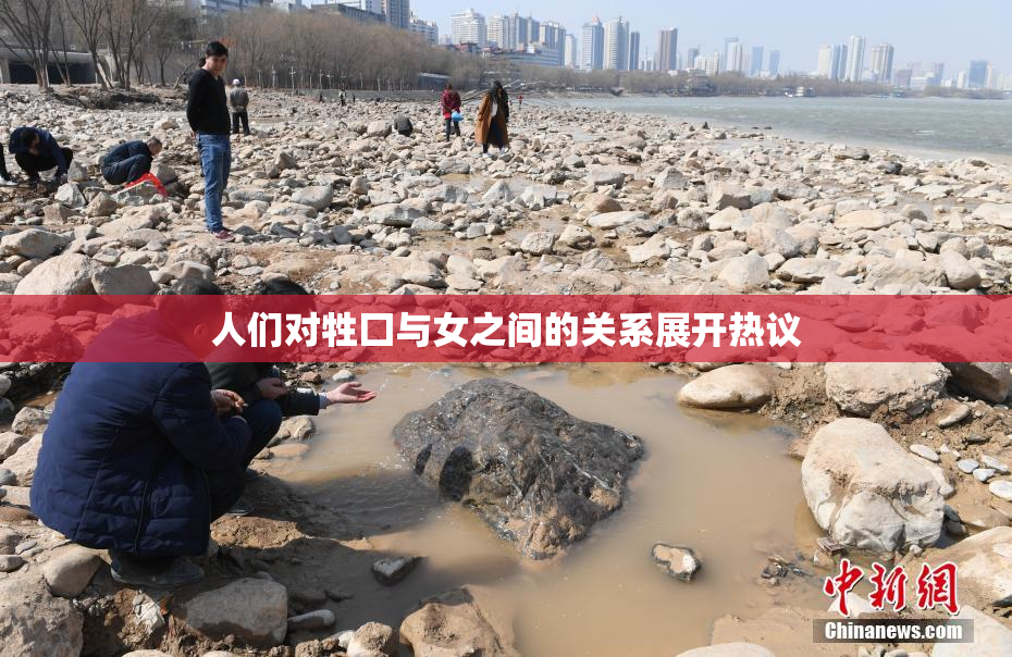 人们对牲囗与女之间的关系展开热议