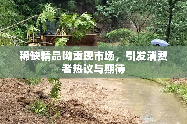 稀缺精品呦重现市场，引发消费者热议与期待