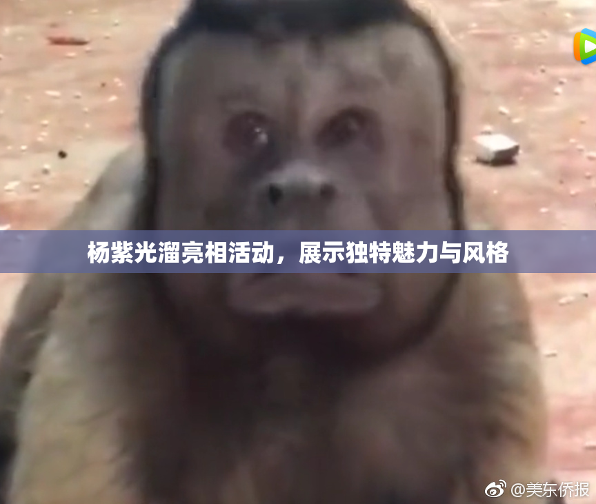 杨紫光溜亮相活动，展示独特魅力与风格