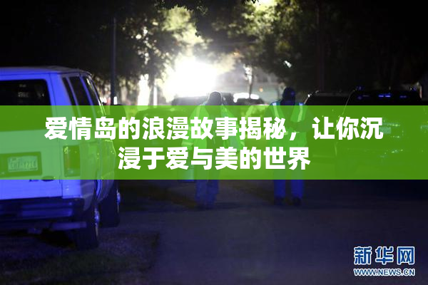 爱情岛的浪漫故事揭秘，让你沉浸于爱与美的世界