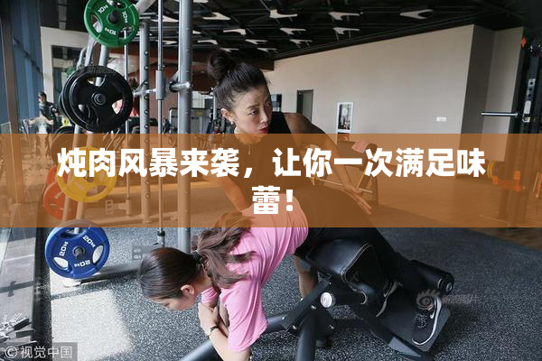 炖肉风暴来袭，让你一次满足味蕾！