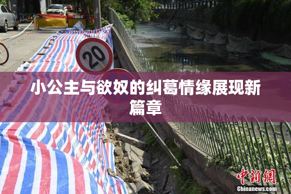 小公主与欲奴的纠葛情缘展现新篇章