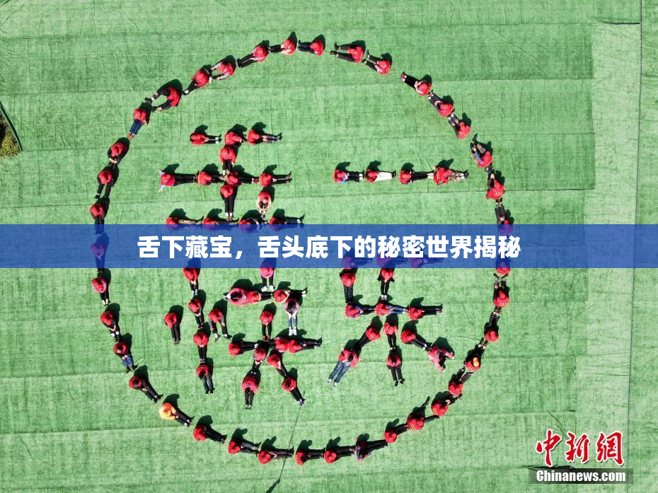 舌下藏宝，舌头底下的秘密世界揭秘
