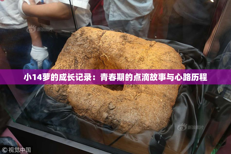 小14萝的成长记录：青春期的点滴故事与心路历程