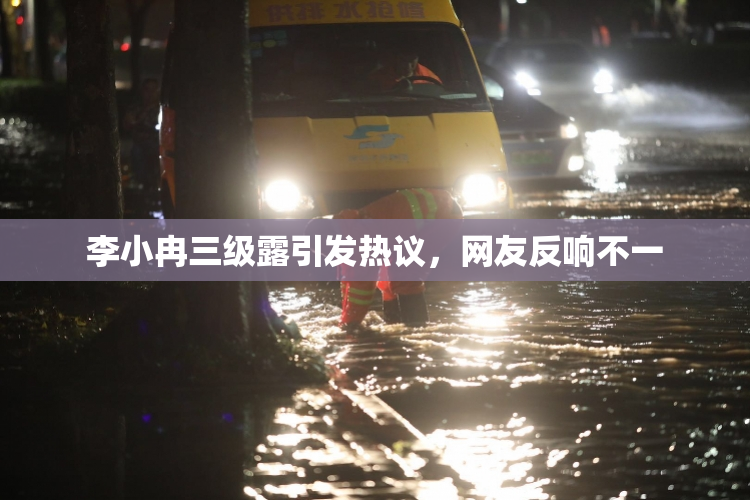 李小冉三级露引发热议，网友反响不一
