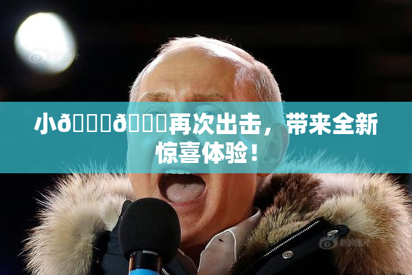 小🐔🐔再次出击，带来全新惊喜体验！