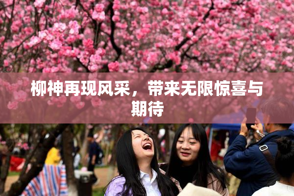 柳神再现风采，带来无限惊喜与期待