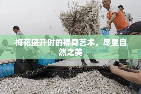 梅花盛开时的裸身艺术，尽显自然之美