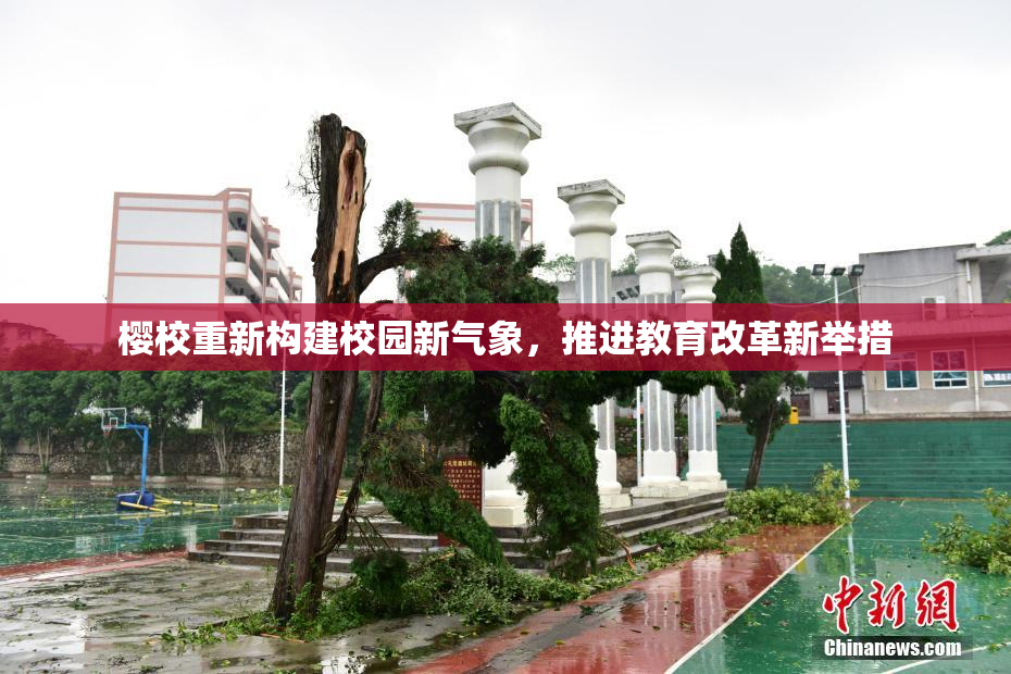 樱校重新构建校园新气象，推进教育改革新举措