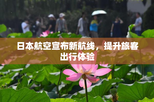 日本航空宣布新航线，提升旅客出行体验