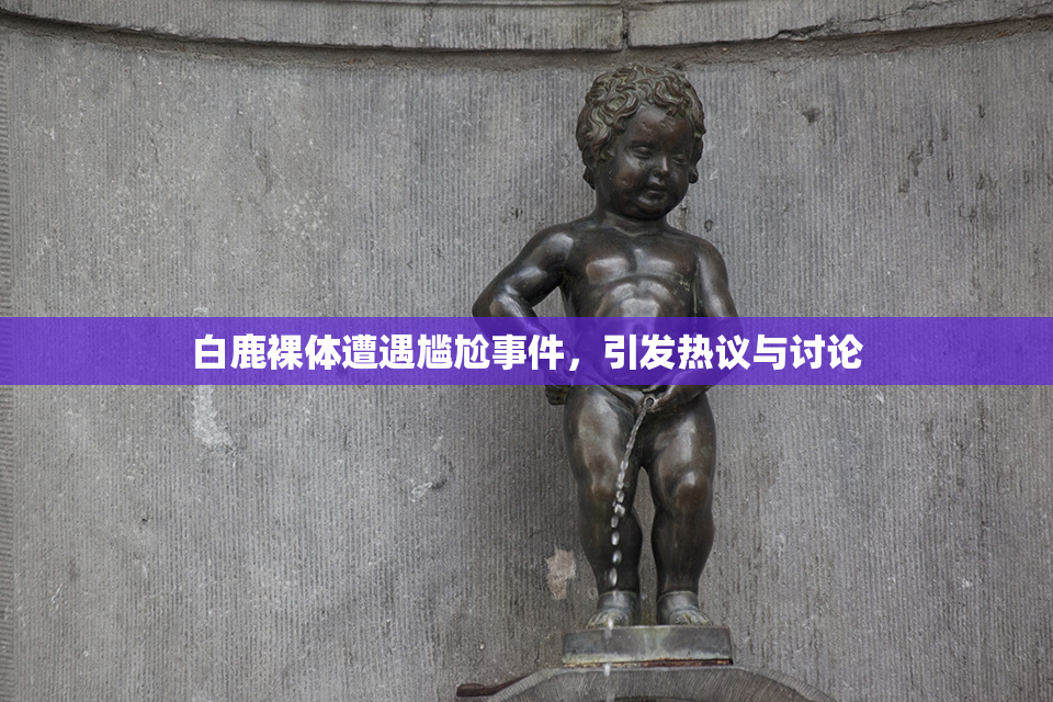 白鹿裸体遭遇尴尬事件，引发热议与讨论