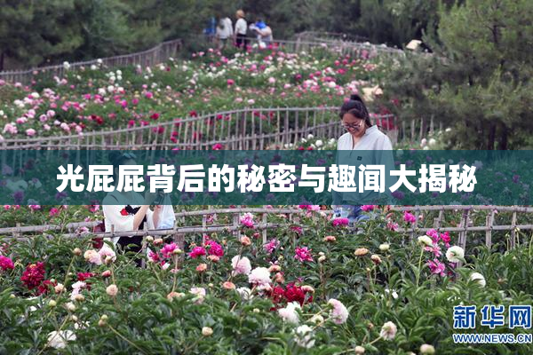 光屁屁背后的秘密与趣闻大揭秘