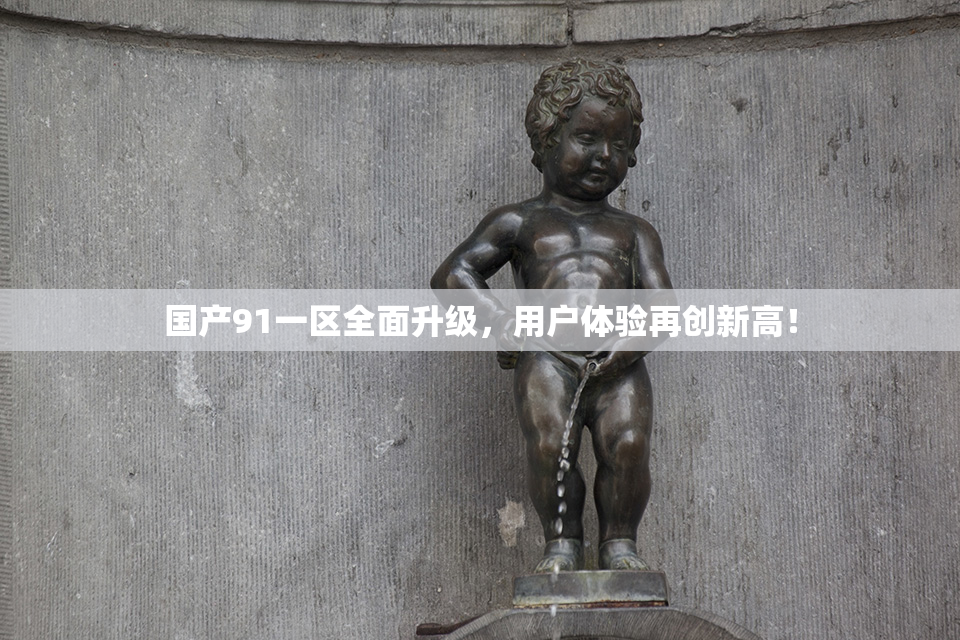 国产91一区全面升级，用户体验再创新高！