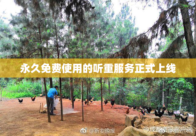 永久免费使用的听重服务正式上线