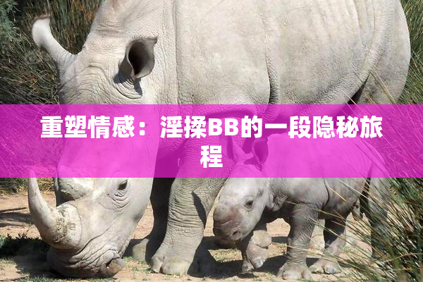 重塑情感：淫揉BB的一段隐秘旅程