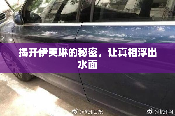 揭开伊芙琳的秘密，让真相浮出水面