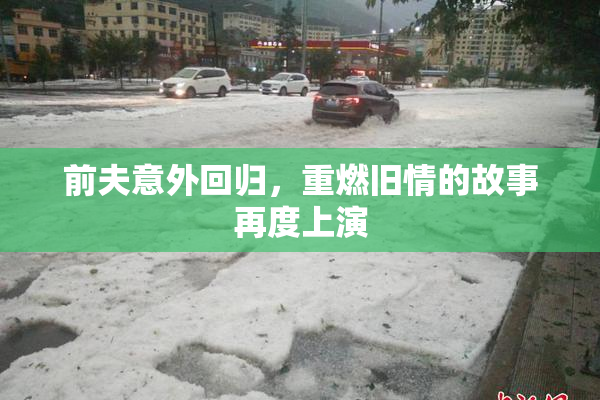 前夫意外回归，重燃旧情的故事再度上演