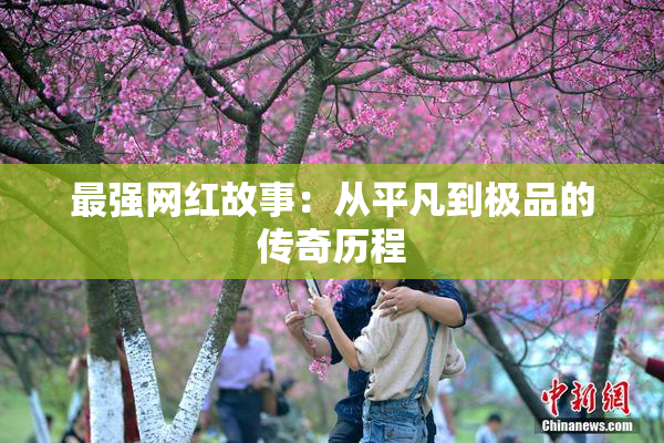 最强网红故事：从平凡到极品的传奇历程
