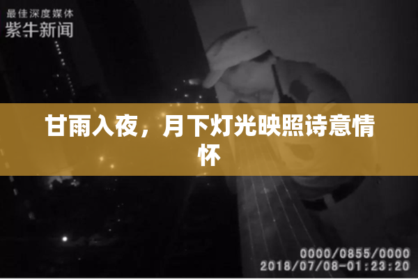 甘雨入夜，月下灯光映照诗意情怀