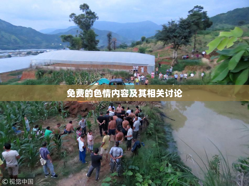 免费的色情内容及其相关讨论