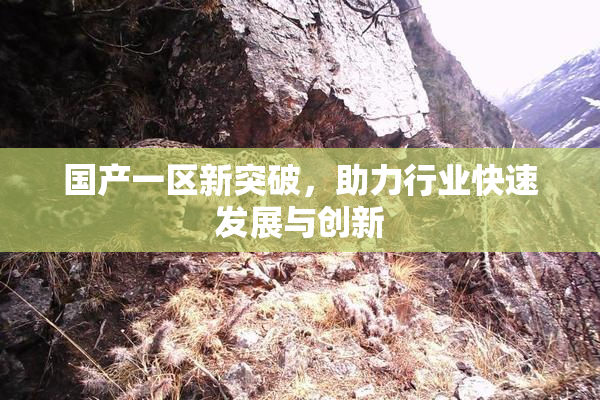 国产一区新突破，助力行业快速发展与创新