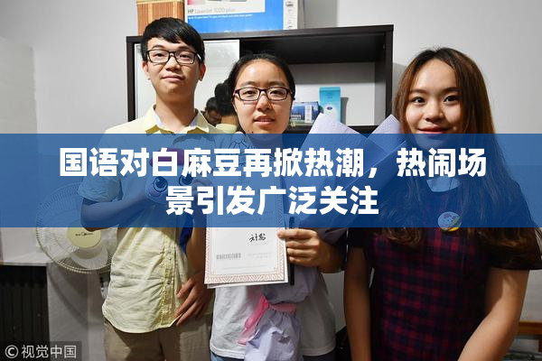 国语对白麻豆再掀热潮，热闹场景引发广泛关注