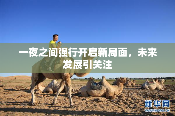 一夜之间强行开启新局面，未来发展引关注