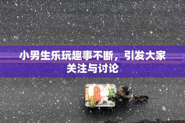 小男生乐玩趣事不断，引发大家关注与讨论