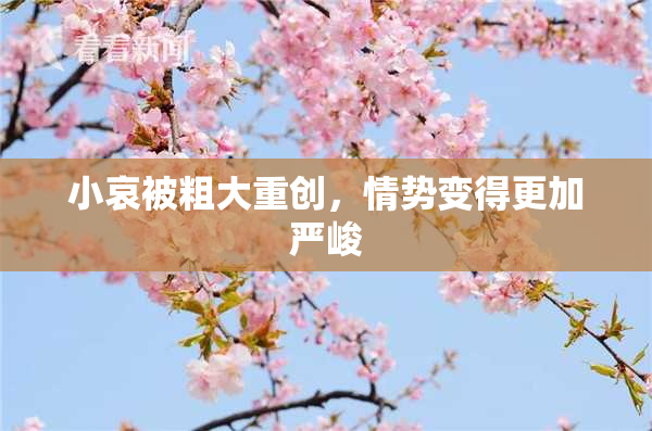小哀被粗大重创，情势变得更加严峻