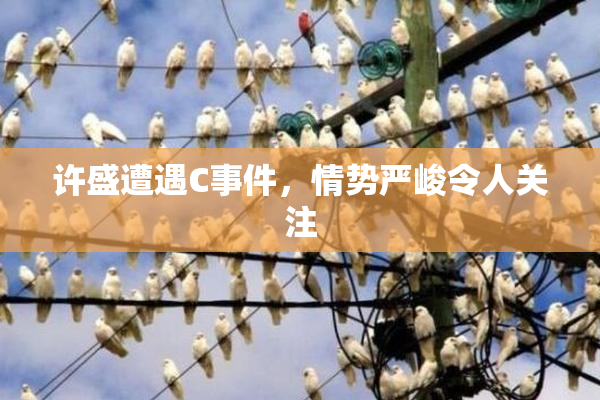 许盛遭遇C事件，情势严峻令人关注