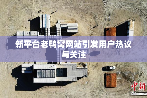 新平台老鸭窝网站引发用户热议与关注